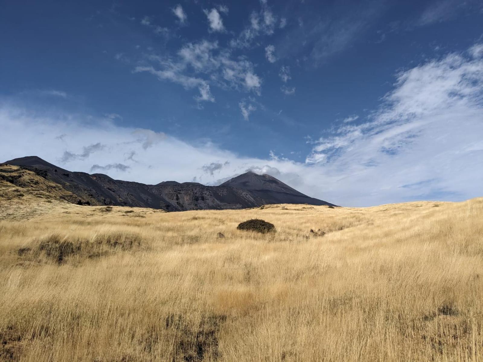 Attico Sul Porto Di Catania E Vista Vulcano Esterno foto